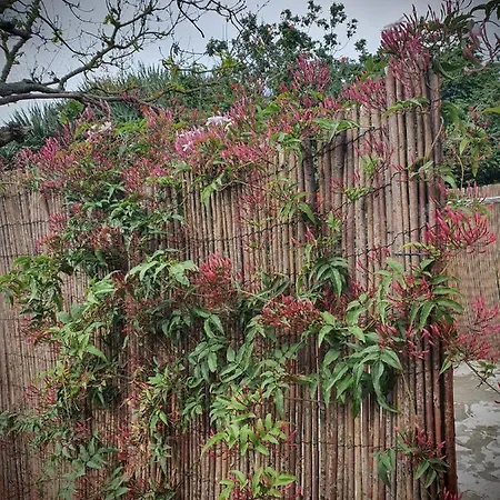 Casa de Férias Casa El Porte Tegueste