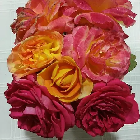 Casa de Férias Casa El Porte