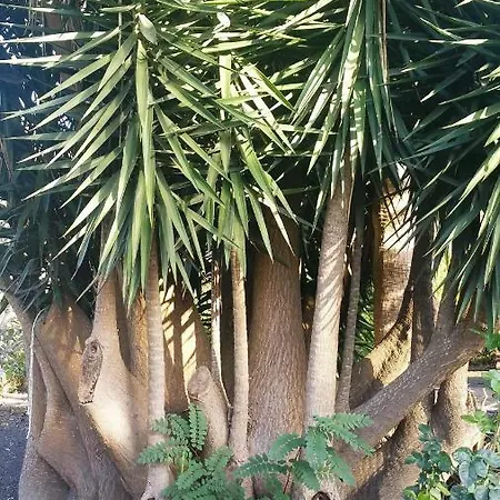 Casa El Porte Casa de Férias *