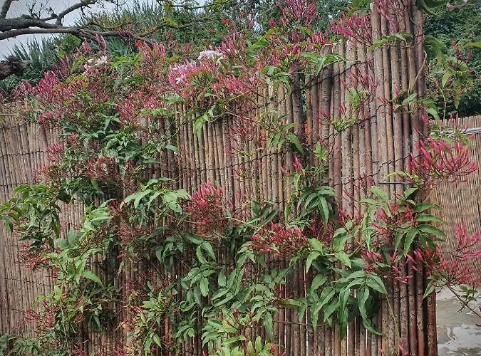 別荘 Casa El Porte Tegueste