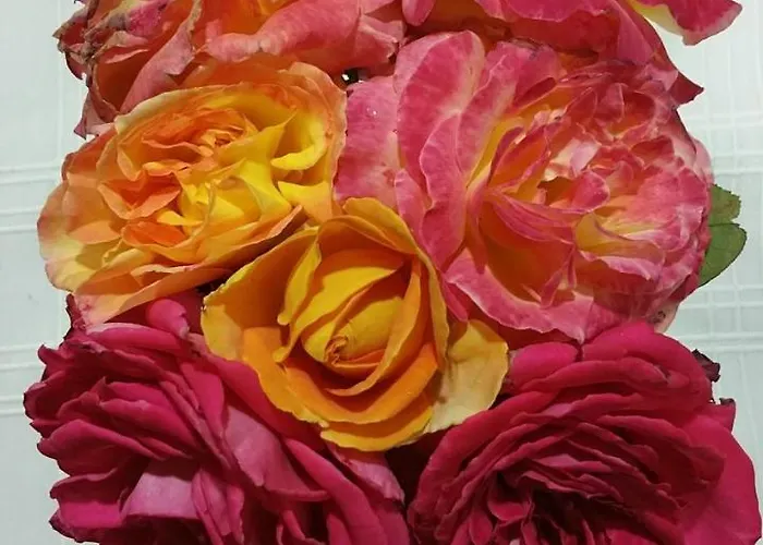 別荘 Casa El Porte