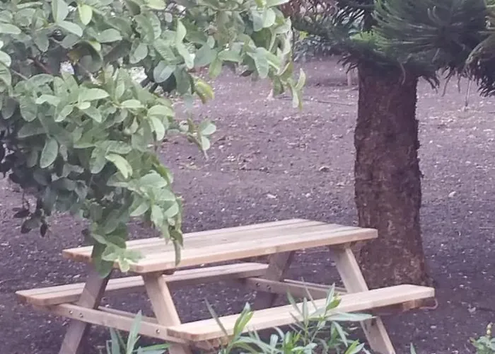 Casa El Porte 別荘 Tegueste