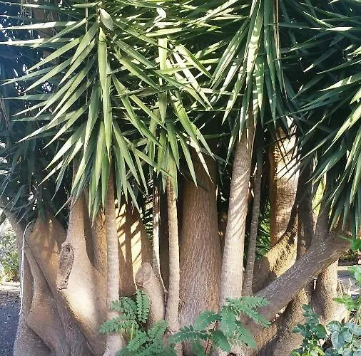 Casa El Porte 別荘 *